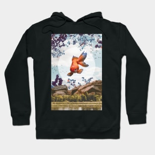 Goldfish Lake Hoodie